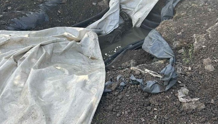 Собственикът оспорва взимането на животното