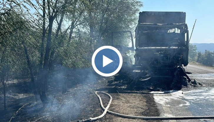 Огнеборци са потушили пожара преди да се разпространи към близката широколистна гора