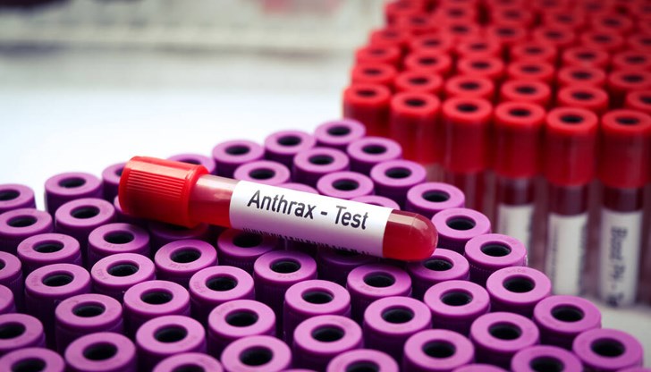 Заболяването е открито в нерегистриран животновъден обект в село Брестовене Заболяването е открито в нерегистриран животновъден обект в село Брестовене