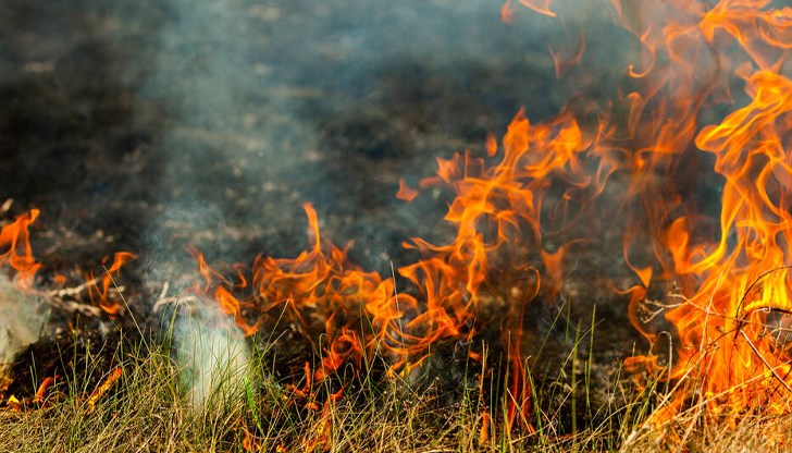 Пожарите не са нанесли сериозни щети Пожарите не са нанесли сериозни щети