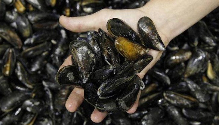 Инспектори откриват високи нива на опасни бактерии в предлаганите продукти Инспектори откриват високи нива на опасни бактерии в предлаганите продукти