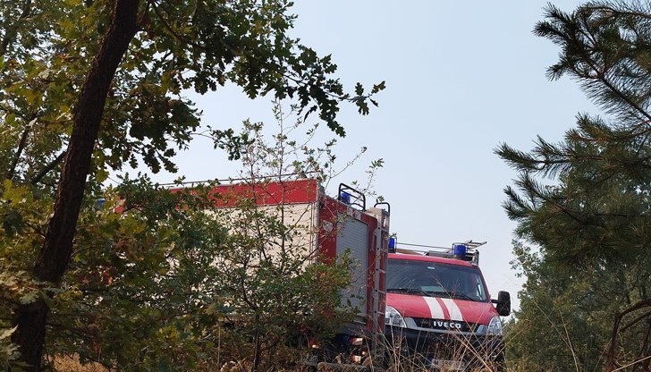 Екипи на ЮЗДП остават на място, за да гарантират, че пожарът няма да се възобнови Екипи на ЮЗДП остават на място, за да гарантират, че пожарът няма да се възобнови