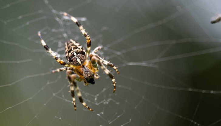 Лекарите не успяха да спасят живота на 48-годишния мъж от Фтиотис Лекарите не успяха да спасят живота на 48-годишния мъж от Фтиотис