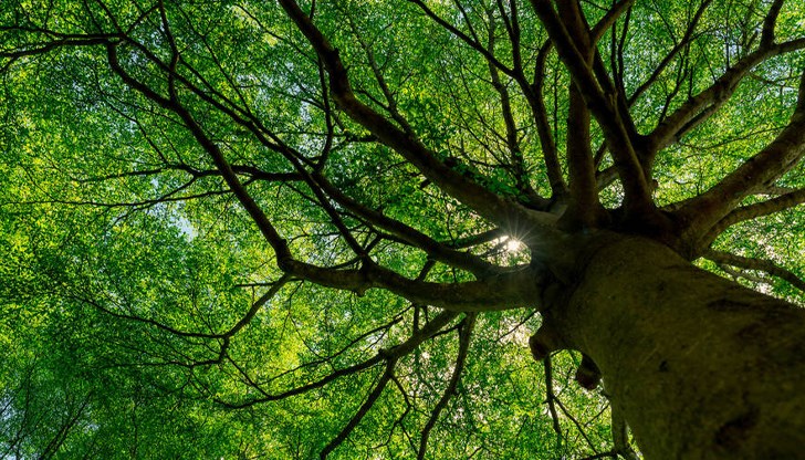 Пострадалият успял да избегне по-тежки наранявания благодарение на бързата си реакция Пострадалият успял да избегне по-тежки наранявания благодарение на бързата си реакция