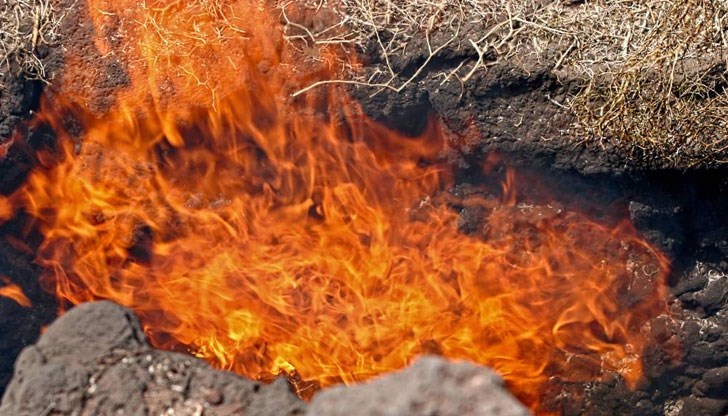 Само Кипър е преди нас, според Европейската информационна система за горски пожари