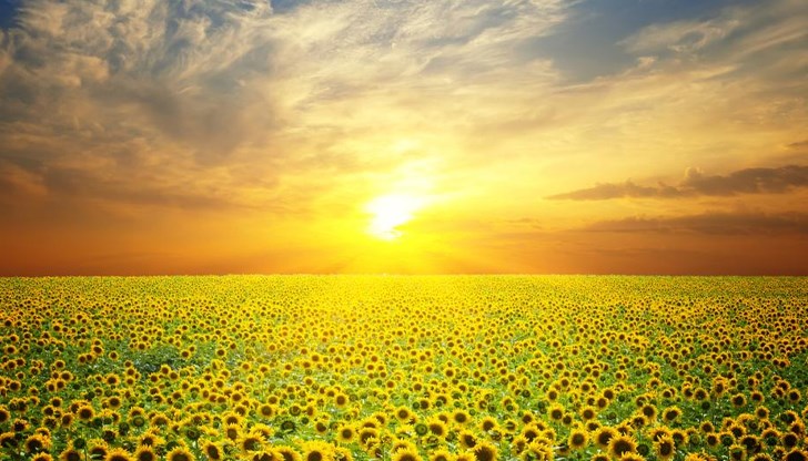 Очаква се сухо и слънчево време през второто и третото десетдневие Очаква се сухо и слънчево време през второто и третото десетдневие