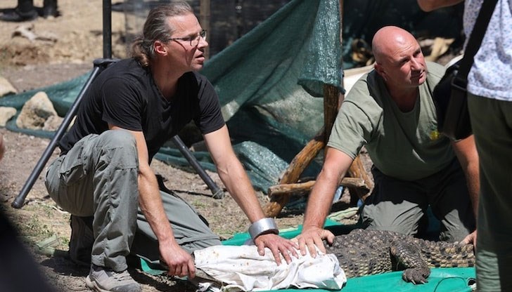 Това съобщиха от РИОСВ - София Това съобщиха от РИОСВ - София