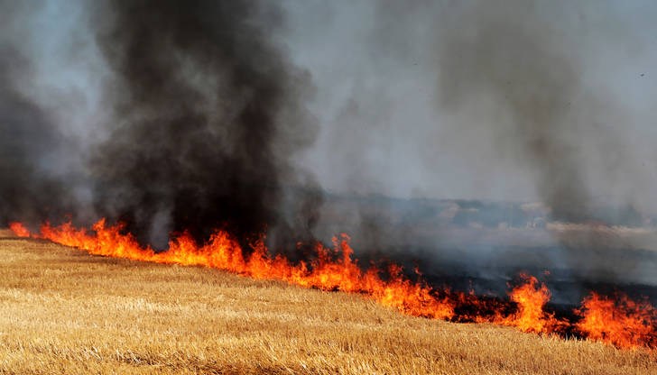 Обявен е червен индекс за пожароопасност на 12 и 13 август Обявен е червен индекс за пожароопасност на 12 и 13 август