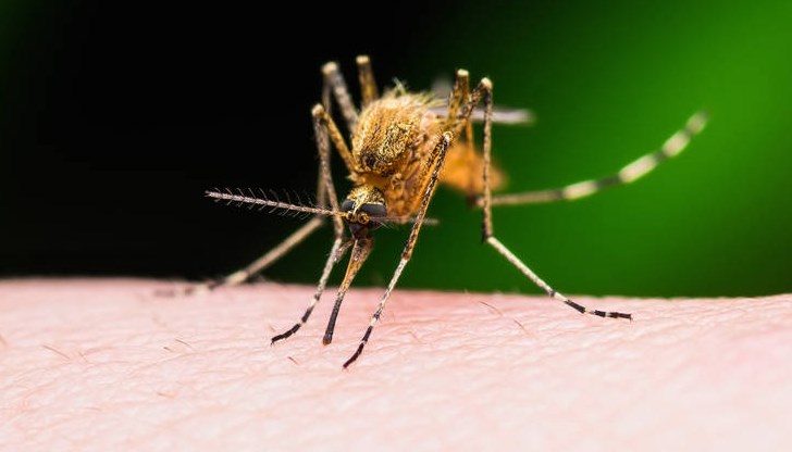 Радостина Александрова разкрива защо вирусът не се предава между хората Радостина Александрова разкрива защо вирусът не се предава между хората