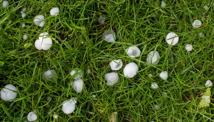 Засегнати са земеделските насаждения в самоковското село Засегнати са земеделските насаждения в самоковското село