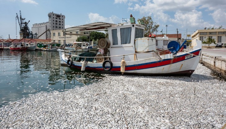 Гръцките власти затварят шест плажа и стартират разследвания
