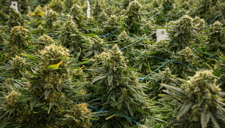 На място е задържан 47-годишен мъж На място е задържан 47-годишен мъж