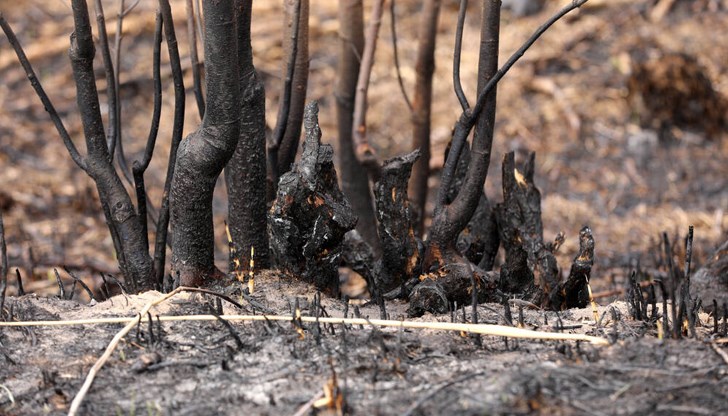 Природната стихия обхвана 6500 хектара в националния парк на Република Северна Македония Природната стихия обхвана 6500 хектара в националния парк на Република Северна Македония
