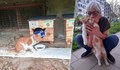 Нови домове за четири улични котки в Русе
