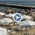 Румънски туристи напълниха Златни пясъци Румънски туристи напълниха Златни пясъци