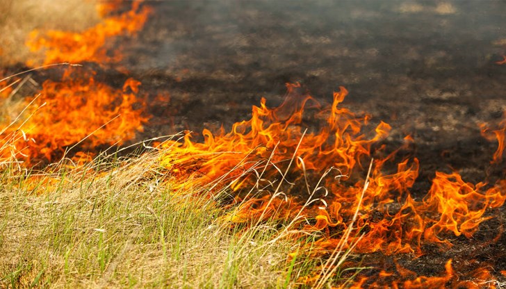 Основни причини са човешки грешки и високите температури Основни причини са човешки грешки и високите температури