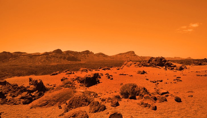 Експерименти с чери домати, грах и моркови показват обещаващи резултати