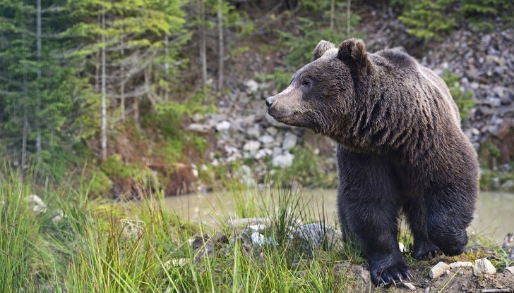 Пострадалият е транспортиран в болница с тежки наранявания Пострадалият е транспортиран в болница с тежки наранявания