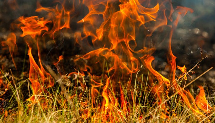 Огнеборците гасят пламъците на терен Огнеборците гасят пламъците на терен