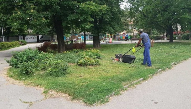 Служители на Общинско предприятие „Паркстрой" и ДЗЗД „Паркстрой" обединяват сили за облагородяване на града Служители на Общинско предприятие „Паркстрой" и ДЗЗД „Паркстрой" обединяват сили за облагородяване на града