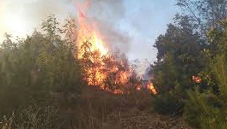 Местната власт апелира за помощ в борбата с горския пожар в труднодостъпен терен Местната власт апелира за помощ в борбата с горския пожар в труднодостъпен терен