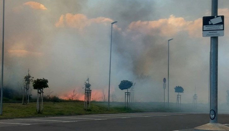 Собственици на имот и нарушител дават противоречиви версии за инцидента Собственици на имот и нарушител дават противоречиви версии за инцидента