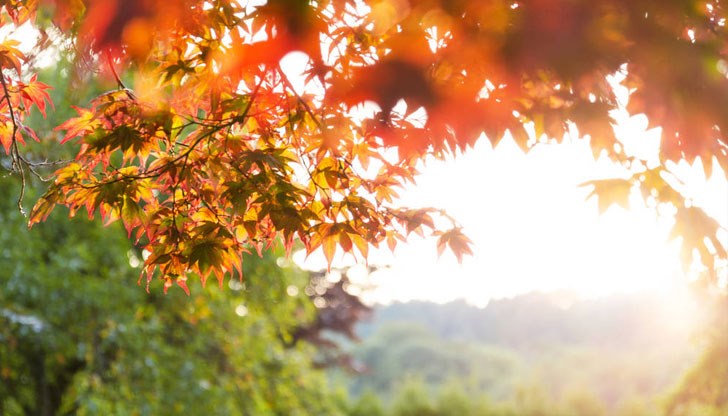 Дъжд и гръмотевици се очакват над източните и планинските райони Дъжд и гръмотевици се очакват над източните и планинските райони