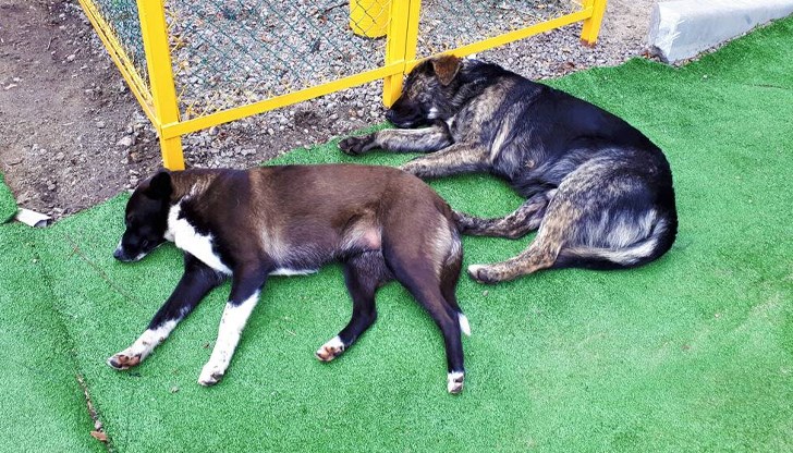 Разследването по случая вече е започнато, прокуратурата е уведомена