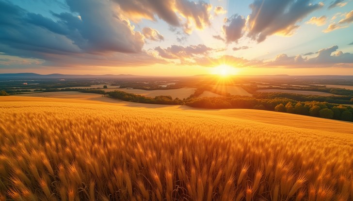 Русе влиза в топ 5 на най-скъпите земеделски райони в България Русе влиза в топ 5 на най-скъпите земеделски райони в България