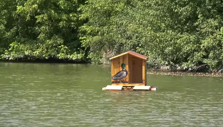 Ресторантьор сигнализира за поредния вандалски акт срещу птиците в река Тунджа Ресторантьор сигнализира за поредния вандалски акт срещу птиците в река Тунджа