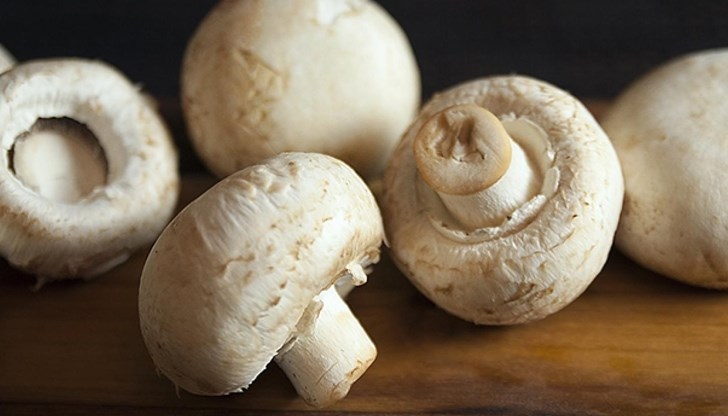 Три смъртоносни двойника, които застрашават любителите на печурки Три смъртоносни двойника, които застрашават любителите на печурки