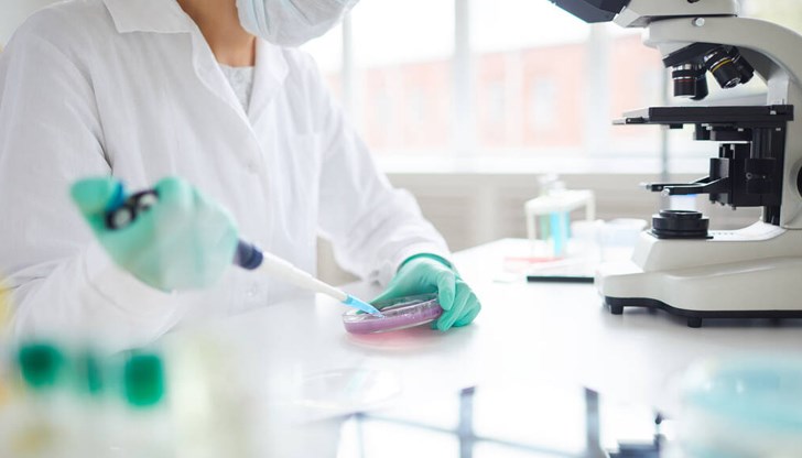 Американски и германски учени разкриха неизвестен досега механизъм за клетъчно оцеляване Американски и германски учени разкриха неизвестен досега механизъм за клетъчно оцеляване