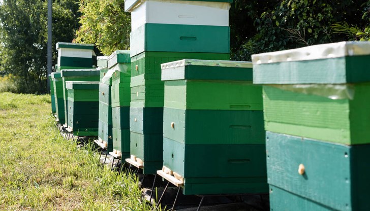 Производителите търпят загуби въпреки високите цени в магазините Производителите търпят загуби въпреки високите цени в магазините