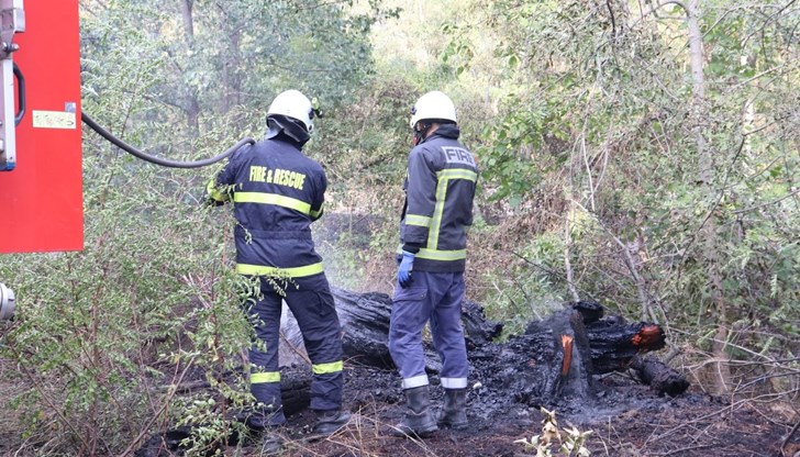 Най-вероятната причина за инцидента е изхвърлена незагасена цигара Най-вероятната причина за инцидента е изхвърлена незагасена цигара