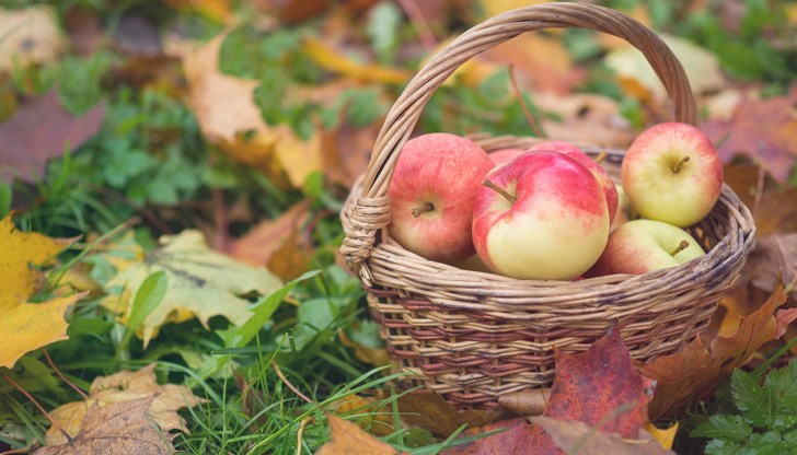 Метеоролозите прогнозират променливо време през втората половина на месеца Метеоролозите прогнозират променливо време през втората половина на месеца
