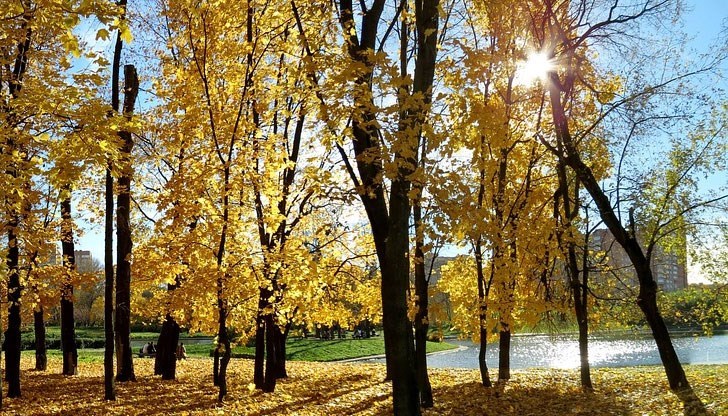 Синоптиците прогнозират сутрешна мъгла и следобедно затопляне утре Синоптиците прогнозират сутрешна мъгла и следобедно затопляне утре
