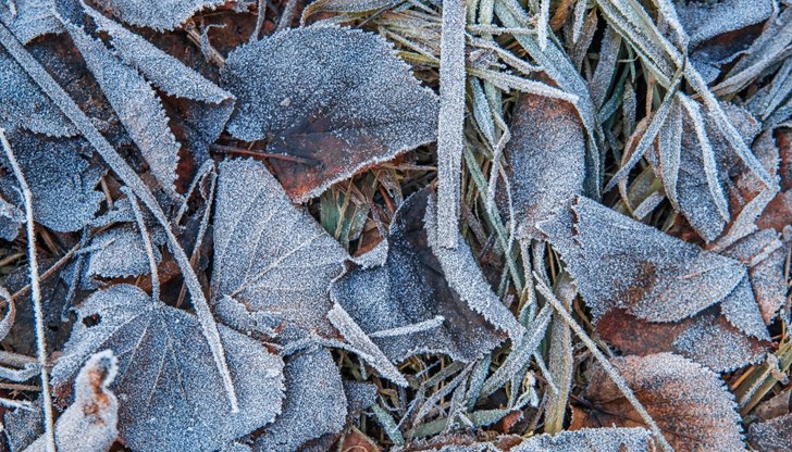 Сутрин термометрите все по-често ще клонят към нулата Сутрин термометрите все по-често ще клонят към нулата