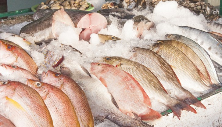 Кампанията продължава до деня на празника Кампанията продължава до деня на празника