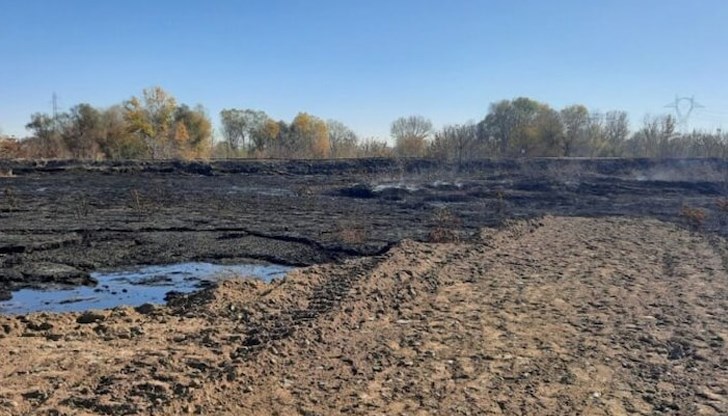 Стойностите на фини прахови частици са под нормата Стойностите на фини прахови частици са под нормата