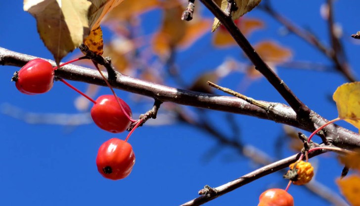 Температурите ще надхвърлят 15 градуса следобед Температурите ще надхвърлят 15 градуса следобед