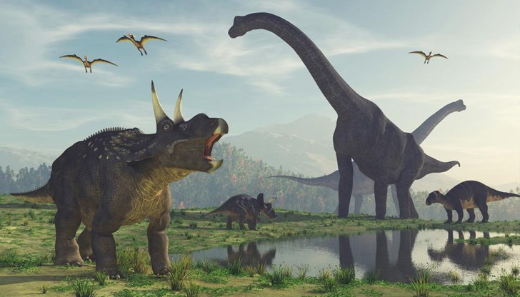 Откритието запълва съществена празнина в разбирането за еволюцията на птичия мозък Откритието запълва съществена празнина в разбирането за еволюцията на птичия мозък