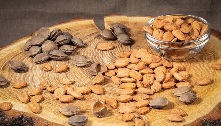 Тежък случай на натравяне с кайсиеви ядки в Русе Тежък случай на натравяне с кайсиеви ядки в Русе