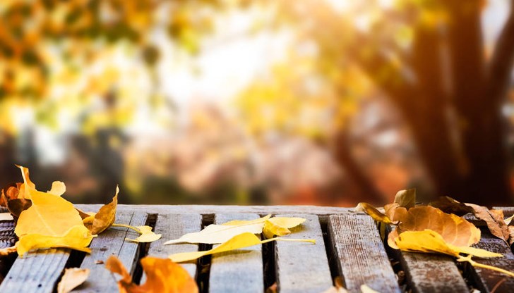 Променливо време и температури над нормата очакват синоптиците Променливо време и температури над нормата очакват синоптиците