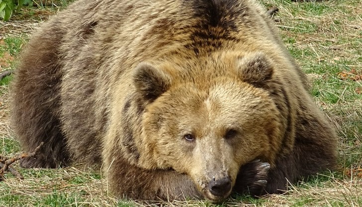 Паркът затваря за посетители Паркът затваря за посетители