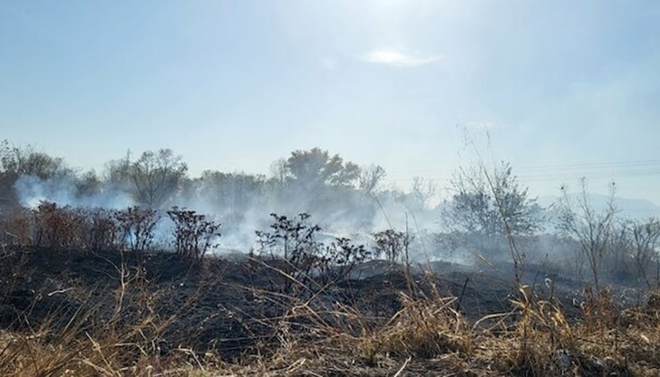 Старото депо за утайки на ВиК - Пловдив продължава да тлее Старото депо за утайки на ВиК - Пловдив продължава да тлее