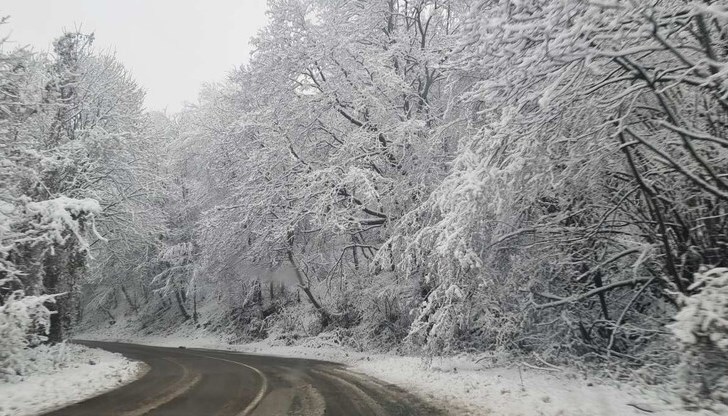 Обилен снеговалеж в района Обилен снеговалеж в района