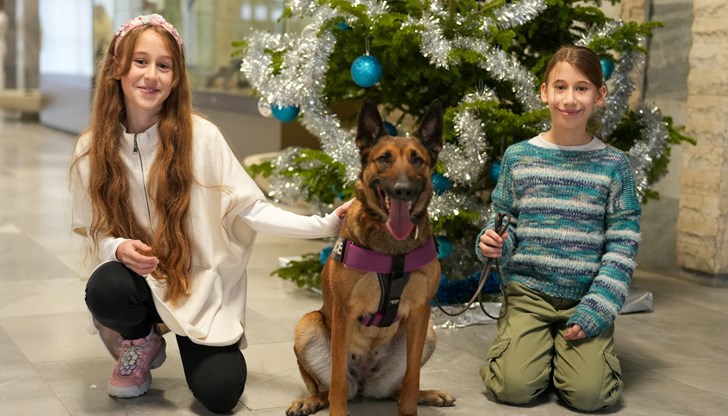 Кучето Кира от ГДБОП бе звездата на коледния спектакъл в Академията на МВР