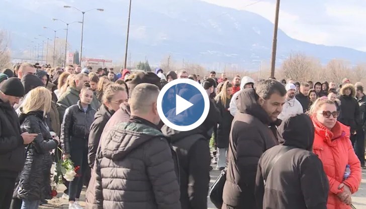 Местните жители настояват за спешни мерки срещу безпризорните животни в района