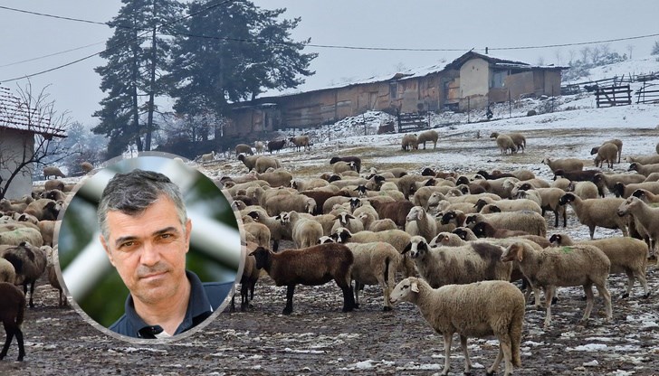 Д-р Георги Тодоров разкри системни нарушения в работата на БАБХ Д-р Георги Тодоров разкри системни нарушения в работата на БАБХ