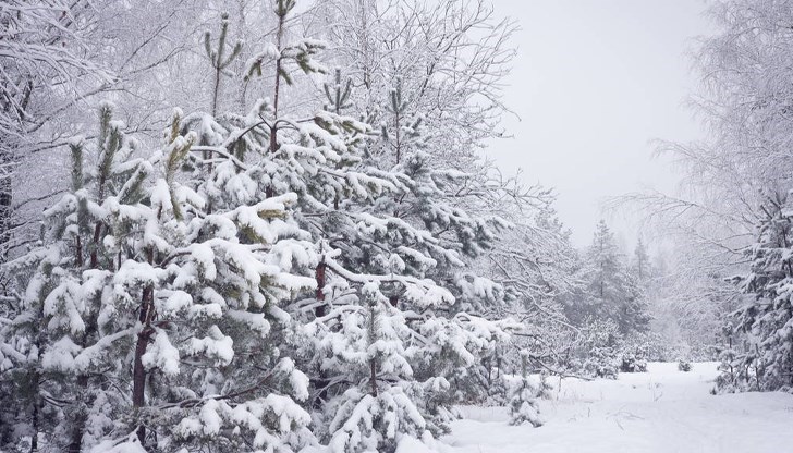Синоптици предупреждават за ураганен вятър в неделя Синоптици предупреждават за ураганен вятър в неделя